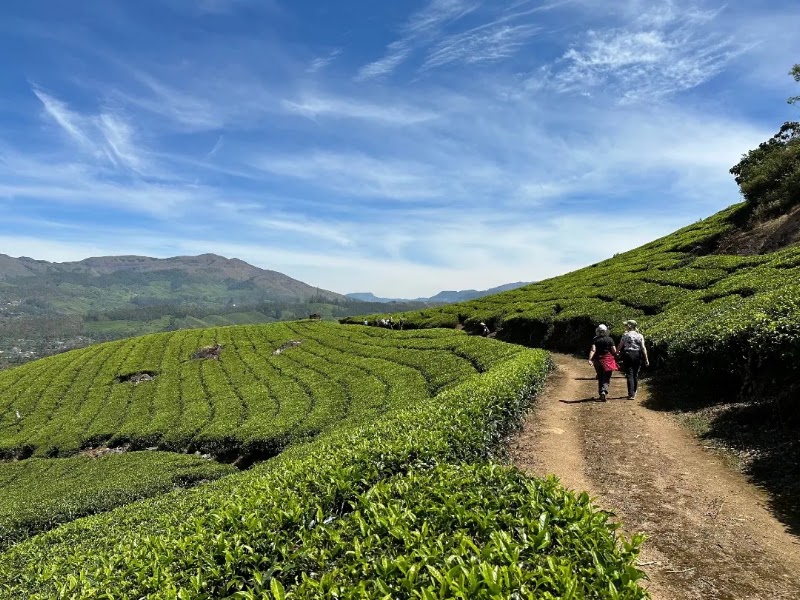 Blanket Hotel & Spa | Luxury 5 Star Resorts in Munnar - Blanket Hotel & Spa | Luxury 5 Star Resorts in Munnar Attukad Waterfalls, Munnar - Aluva Rd, Pallivasal, Kerala 685565, India