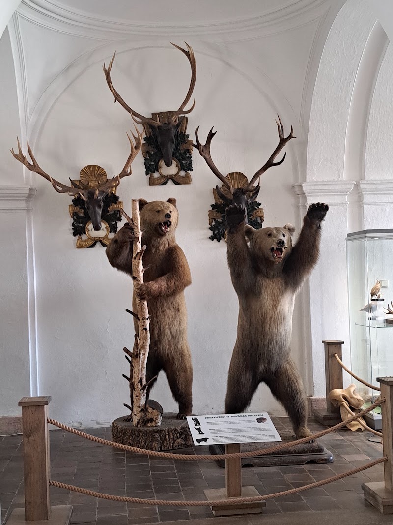 Muzeum lesnictví, myslivosti a rybářství – zámek Ohrada - Muzeum lesnictví, myslivosti a rybářství – zámek Ohrada, Ohrada 17, 373 41 Hluboká nad Vltavou, Czechia