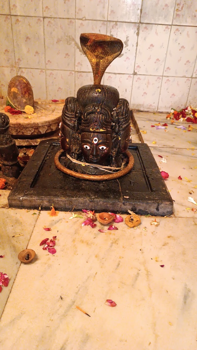 Eklingji Mahadev Mandir - Eklingji Mahadev Mandir HMJJ+3Q2, Ashoka Haveli, Udaipur, Rajasthan 313004, India