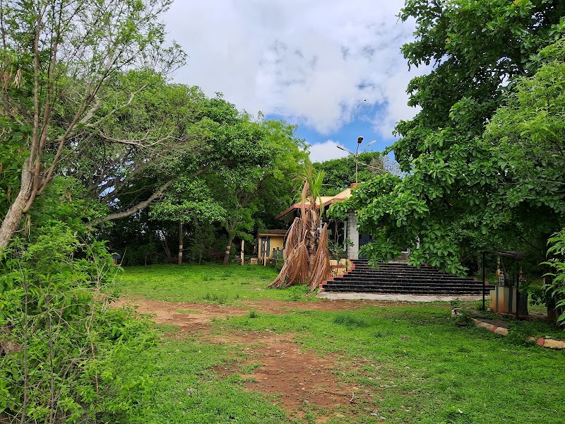 Turahalli Forest - Turahalli Forest 100 Feet Rd, Thurahalli, Bengaluru, Karnataka 560109, India
