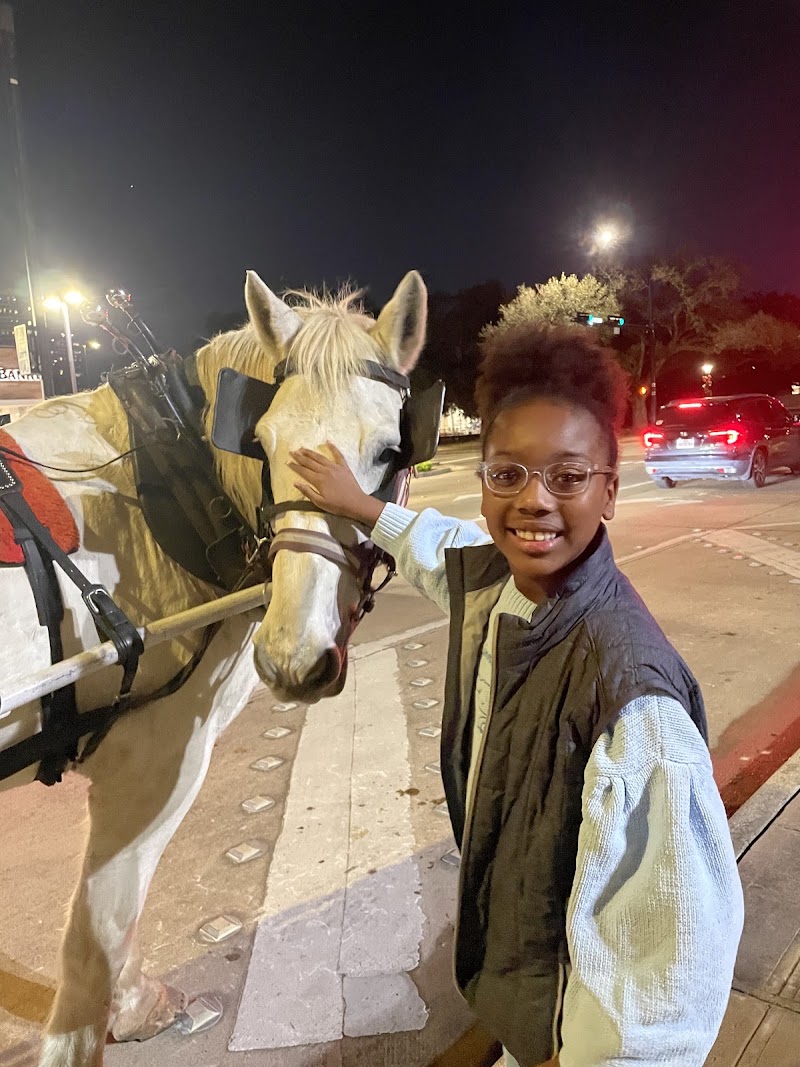Vintage Carriage Company, LLC - Vintage Carriage Company, LLC 8013 Willow St, Houston, TX 77088, USA