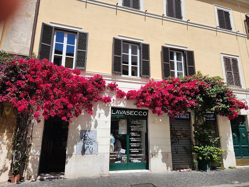Lavasecco Borgo Pio - Lavasecco Borgo Pio, Borgo Pio, 188/189, 00193 Roma RM, Italy