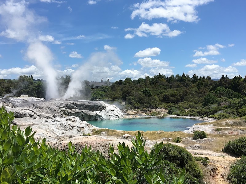Geothermal Valley Te Puia