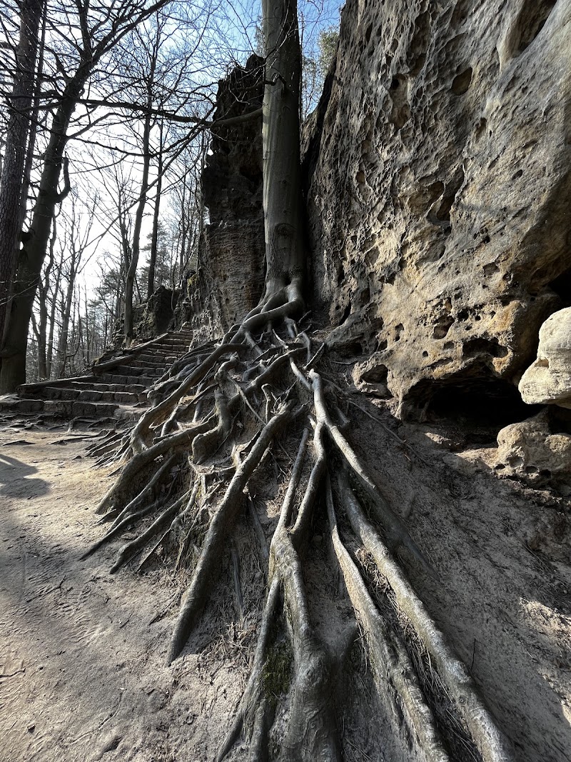 Gabriela's Trail - Gabriela's Trail, Hřensko 71, 407 17 Hřensko, Czechia
