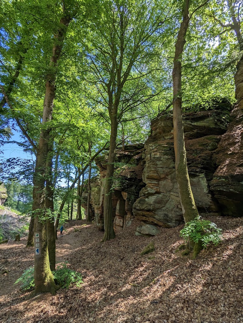 Mullerthal Trail - Mullerthal Trail, B.P. 152, 6402 Mullerthal Echternach, Luxembourg