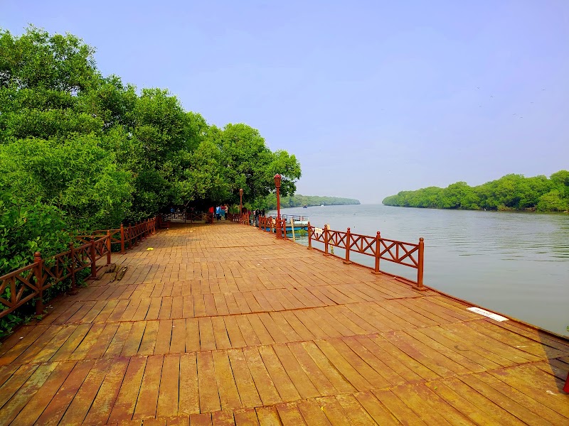 Coringa Wildlife Sanctuary - Coringa Wildlife Sanctuary, R7CX+F8V, Korangi, Kakinada, Andhra Pradesh 533461, India