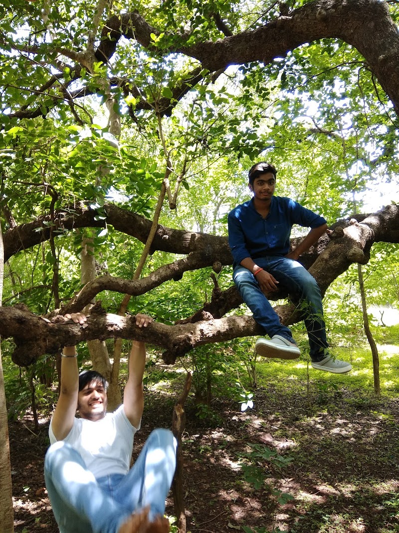 Ananthagiri Hills Viewpoint - Ananthagiri Hills Viewpoint, 8V26+MMM, Godamguda, Telangana 501102, India