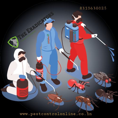 The Eradicators JP Nagar - Best Pest Control Services in Bangalore - The Eradicators JP Nagar - Best Pest Control Services in Bangalore, A-5,G.R TEJAS APARTMENT, 14th Main Rd, Kothnur, RBI Layout, JP Nagar 7th Phase, J. P. Nagar, Bengaluru, Karnataka 560078, India
