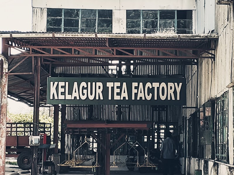 Kelagur Tea Factory - Kelagur Tea Factory, 5F27+H5R, Kelagur, Megur, Karnataka 577122, India