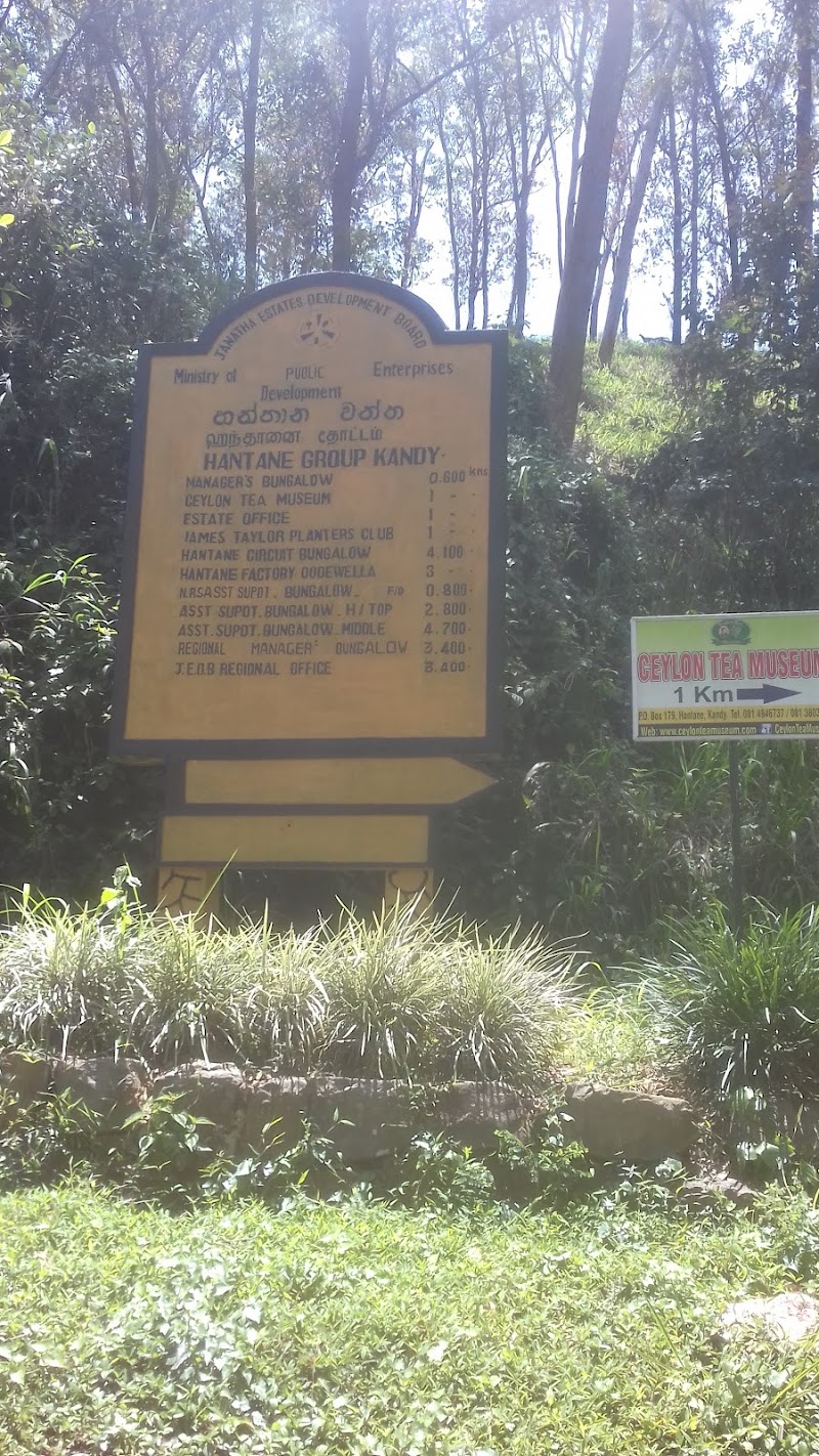 Hantana Tea Research Institute - Hantana Tea Research Institute, Hantana Rd, Kandy, Kandy, Sri Lanka