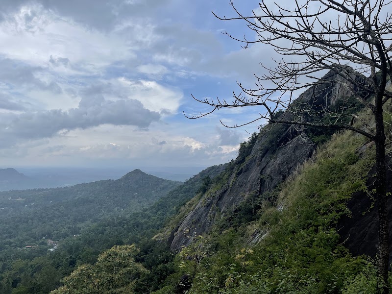 Edakkal Caves - Edakkal Caves Nenmeni, Kerala 673593, India