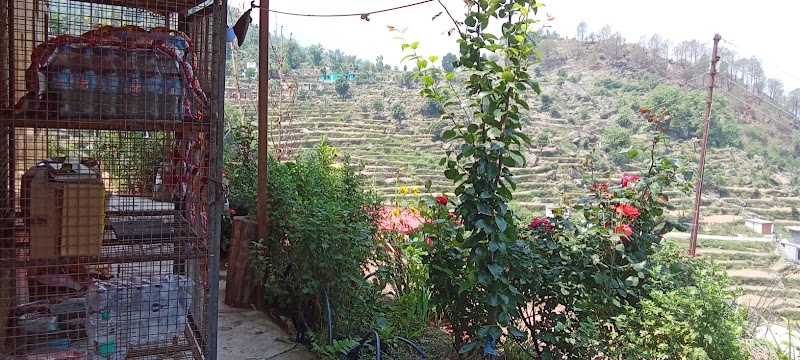 Himalayan Homestay Huddu Valley - Himalayan Homestay Huddu Valley Huddu, Gopeshwar Road, Ukhimath, Chopta, Ushara, Uttarakhand 246469, India