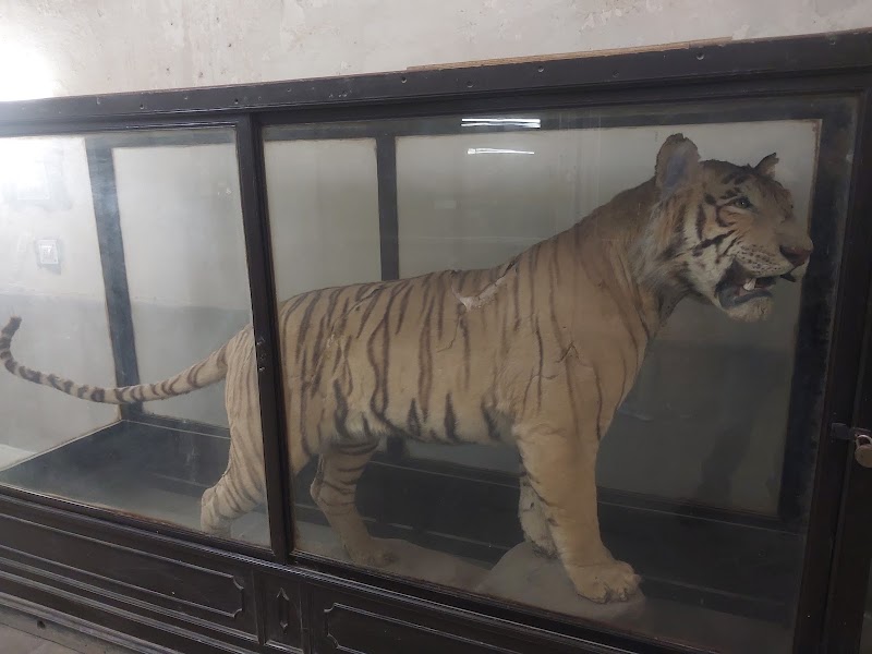 Government Museum Udaipur - Government Museum Udaipur HMGM+P4Q, City Palace Rd, Old City, Silawatwari, Udaipur, Rajasthan 313004, India