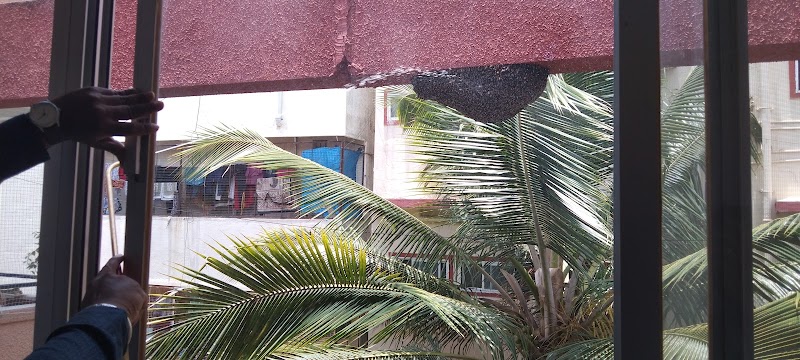 NAVIGATOR Pest Control Service Bangalore - NAVIGATOR Pest Control Service Bangalore, 2nd Floor, 1st cross, No. 17/11, Outer Ring Rd, opp. to Dr. Rajkumar Samadhi, opp. to Dr. Ambrish, Punya Bhoomi, Nandini Layout, Bengaluru, Karnataka 560096, India