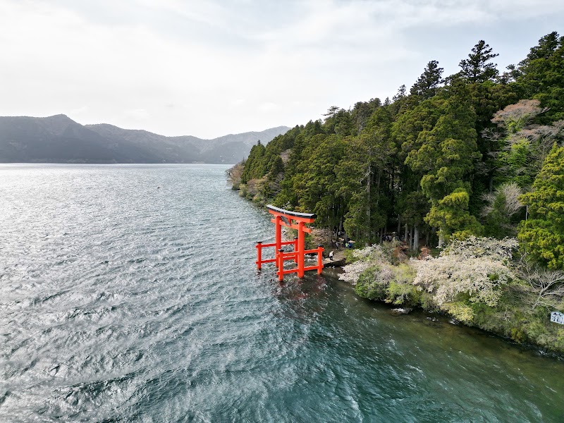 Hakone Shrine 1st Torii Gate - Hakone Shrine 1st Torii Gate, Japan, 〒250-0522 神奈川県足柄下郡箱根町元箱根東海道