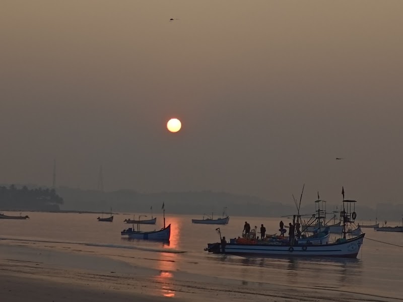 Dolphins ride Goa (Ajit boat trips) - Dolphins ride Goa (Ajit boat trips) Goa Calling Boat Trips at Nerul Coco Beach, FQXM 2WF, Coco, Nerul, Goa 403114, India