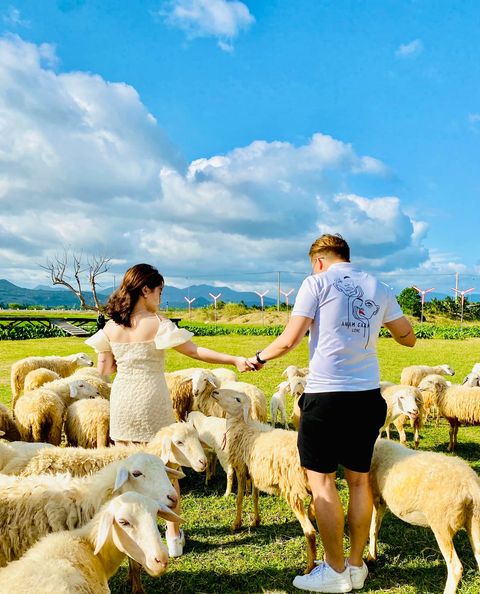 Fairy Stream Sheep Farm - Fairy Stream Sheep Farm, ĐT702, Nam Cam Ranh, Khánh Hòa, Vietnam