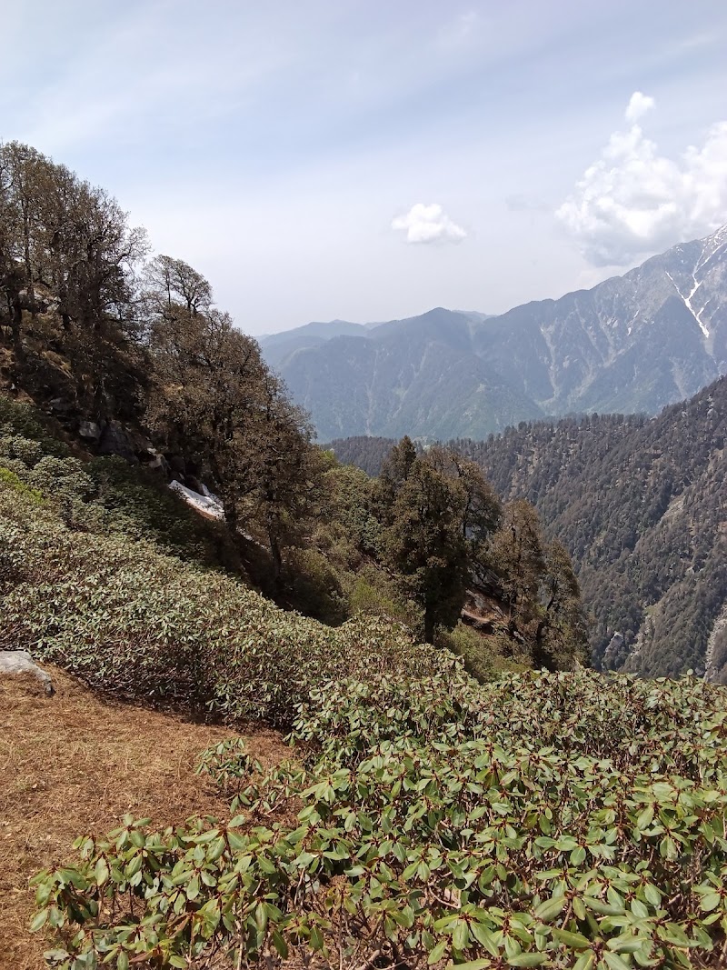 Him View Guesthouse - Him View Guesthouse 68PH+444, Jogiwara Rd, McLeod Ganj, Dharamshala, Himachal Pradesh 176215, India