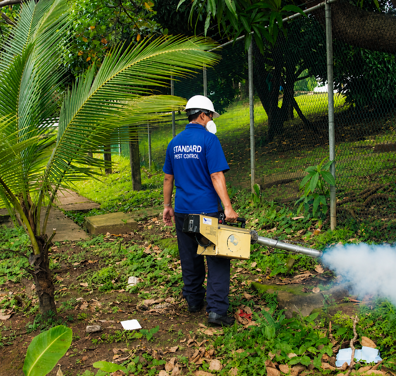 Standard Pest Control Bangalore - Standard Pest Control Bangalore, 7, 1st floor, SriRanganatha Swamy Nilaya Nagappa street, 2nd Main Rd, DN Ramaiah Layout, Palace Guttahalli, Bengaluru, Karnataka 560003, India