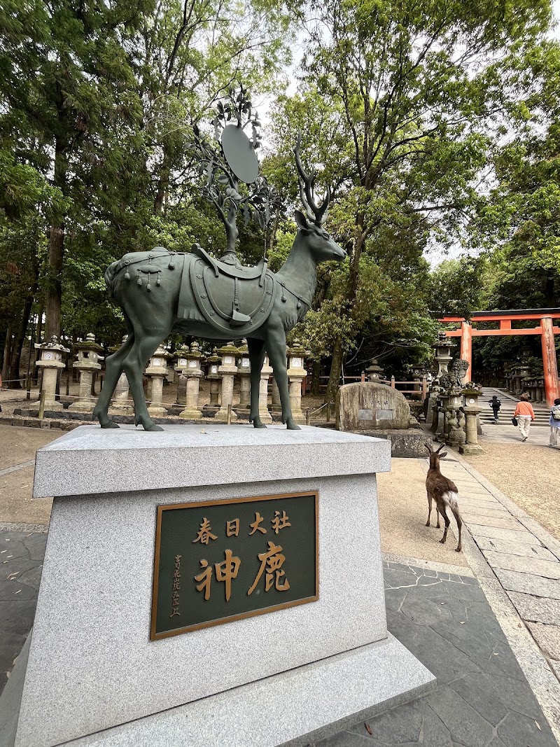 Kasugataisha Shrine - Kasugataisha Shrine 160 Kasuganochō, Nara, 630-8212, Japan