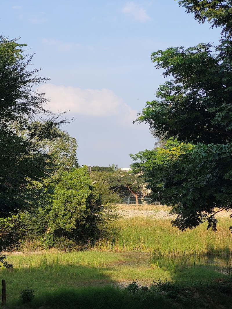 BBMP Park - BBMP Park WJJG+CM5, 4th Block, 5th Block, Koramangala, Bengaluru, Karnataka 560034, India