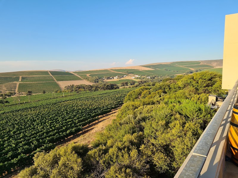 Durbanville Hills Winery - Durbanville Hills Winery, Tygerberg Valley Rd, Cape Farms, Cape Town, 7550, South Africa