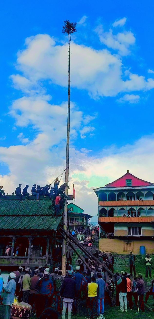 Tirthan Riverview Homestay. - Tirthan Riverview Homestay. Village Ropajani PO Gushaini Tehsil Banjar District Kullu Himachal Pradesh Tirthan Valley, Pekhadi Road, Village Ropajani, Gushaini, Tindar, Himachal Pradesh 175123, India