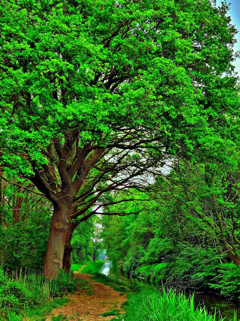 Beringe - Beringe, Netherlands