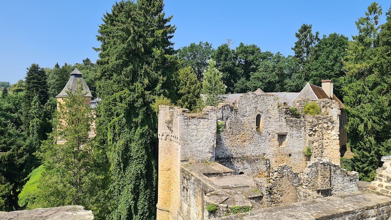 Medieval Castle Beaufort - Medieval Castle Beaufort, 24 Rue du Château, 6313 Beaufort, Luxembourg
