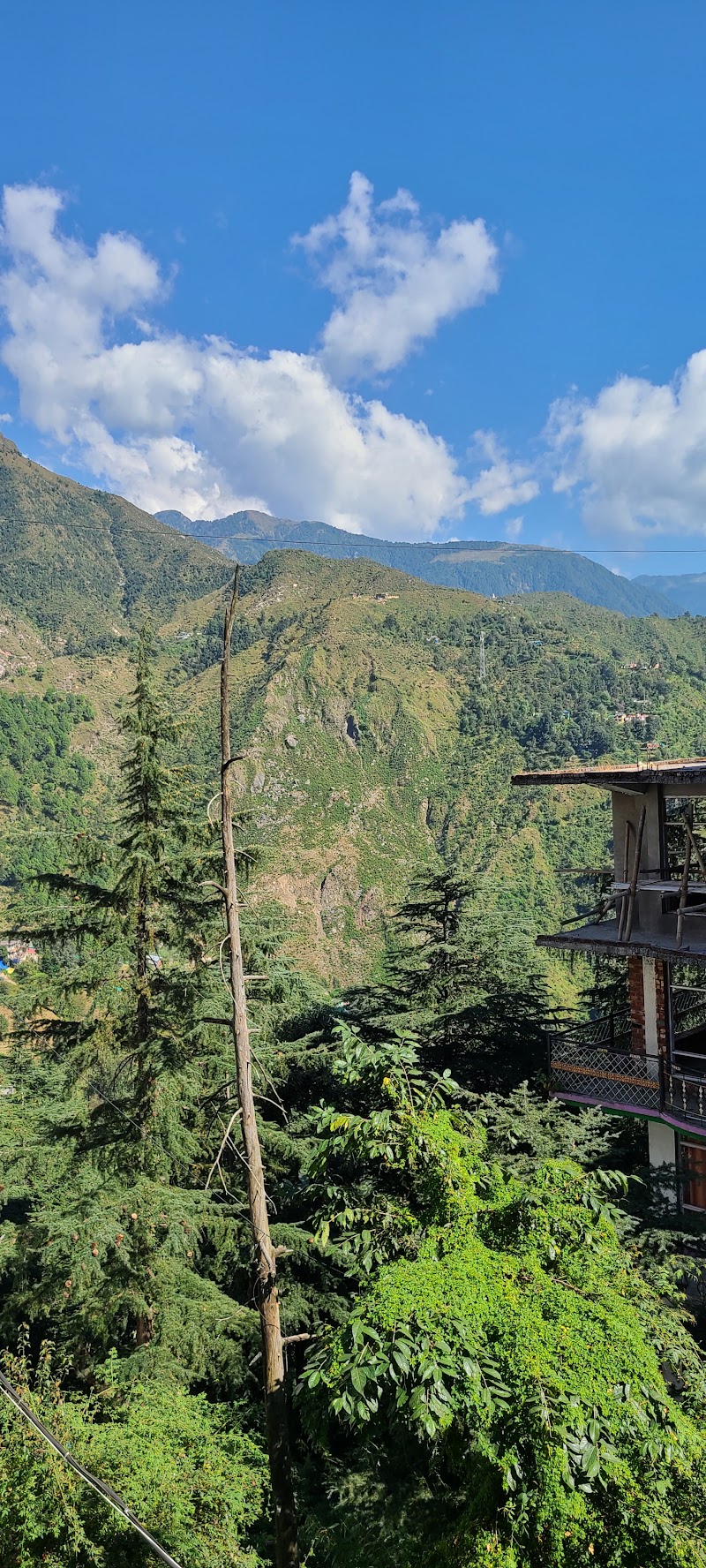 Auspicious Him View Hotel - Auspicious Him View Hotel Jogiwara Rd, McLeod Ganj, Dharamshala, Himachal Pradesh 176215, India