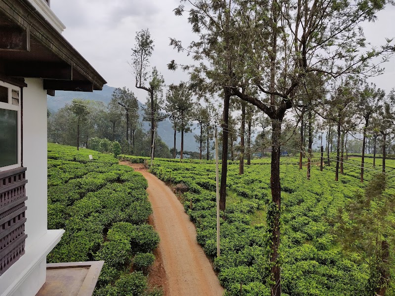 Gruenberg Tea Plantation Haus - Gruenberg Tea Plantation Haus Power house Road, Dobipalam, Chithirapuram, Kerala 685565, India