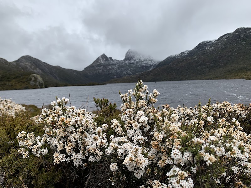 Dove Lake - Dove Lake, Cradle Mountain TAS 7306, Australia