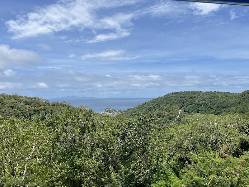 Tree House Cafe - Tree House Cafe, 52 1, Tambon Ko Tao, Amphoe Ko Pha-ngan, Chang Wat Surat Thani 84360, Thailand