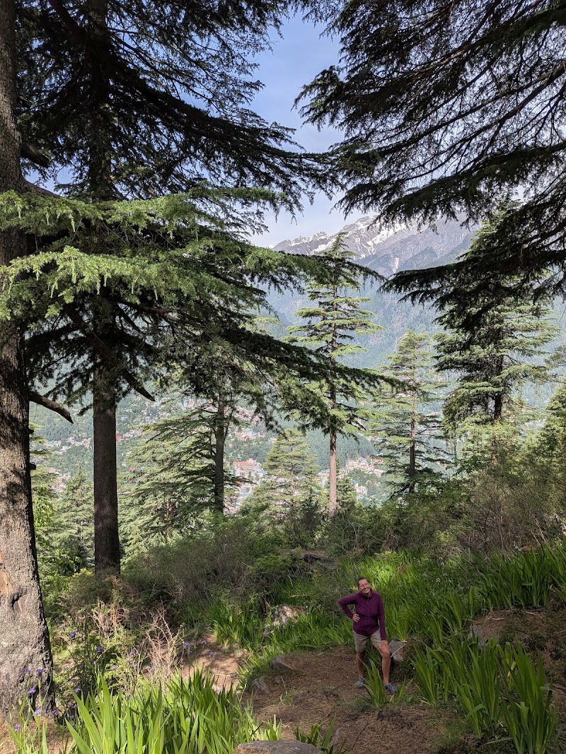 Hampta Pass Trek Base - Hampta Pass Trek Base, 763M+Q8, Bashisht, Himachal Pradesh 175143, India