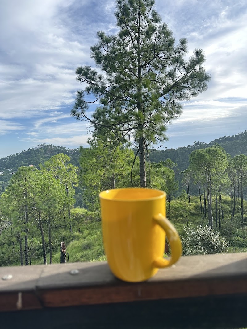 Barog Diaries - Barog Diaries, Diaries Village Mohri, Barog, Himachal Pradesh 173211, India