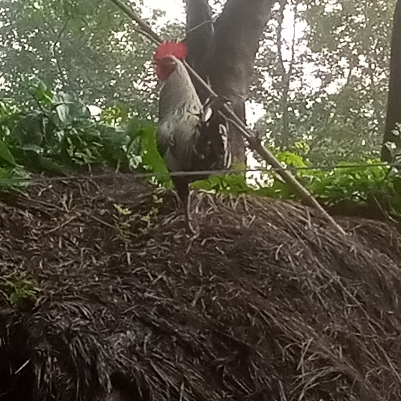 Park - Park F284+M96, Kisan Nagar, Ram Nagar, Nellore, Andhra Pradesh 524002, India