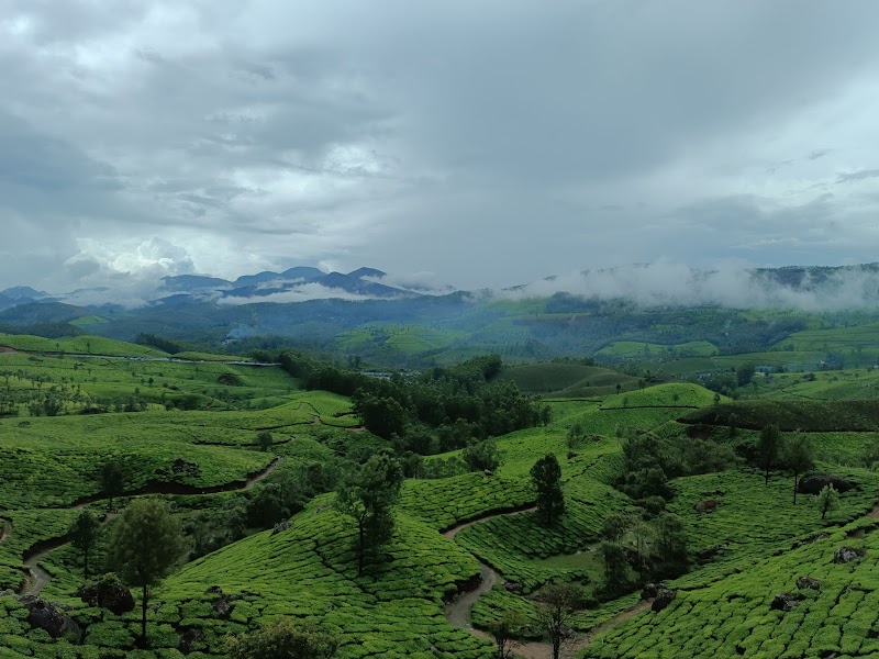 Lockhart Gap Road View Point - Lockhart Gap Road View Point 24PP+8PR, Devikulam, Keralam 685613, India