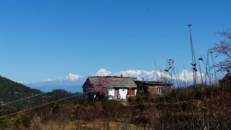 PIECE OF HEAVEN - PIECE OF HEAVEN, CHVP+GRJ, Bhowali Range, Uttarakhand 263137, India