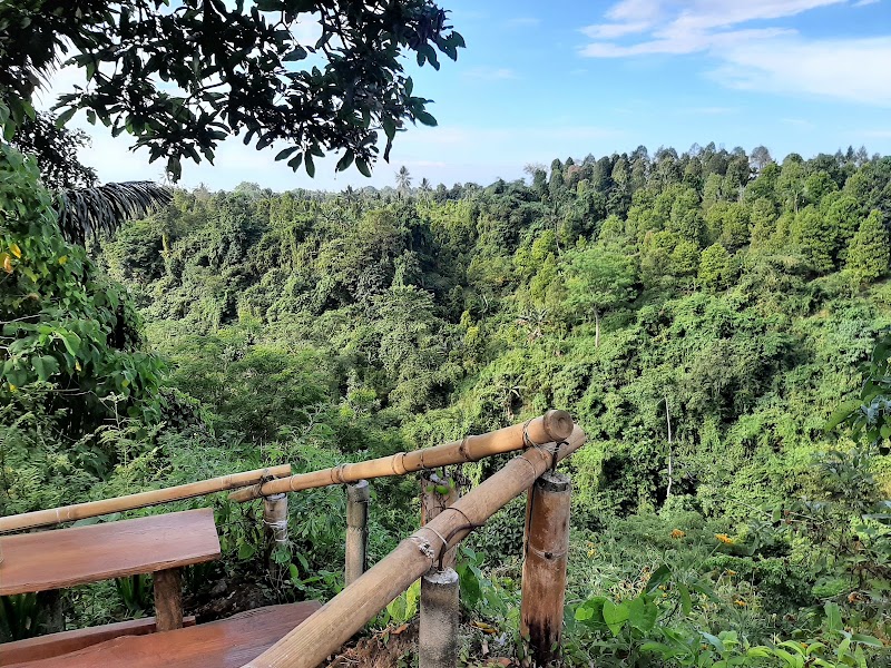 Aling-Aling Waterfall - Aling-Aling Waterfall, Sambangan, Sukasada, Buleleng Regency, Bali 81161, Indonesia