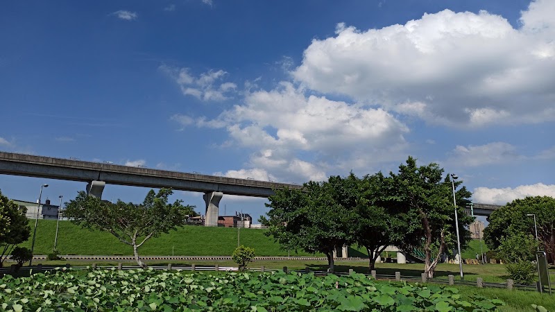 Shuhong Lotus Park - Shuhong Lotus Park Shuhong 1st Rd, Erchong Village, Sanchong District, New Taipei City, Taiwan 241
