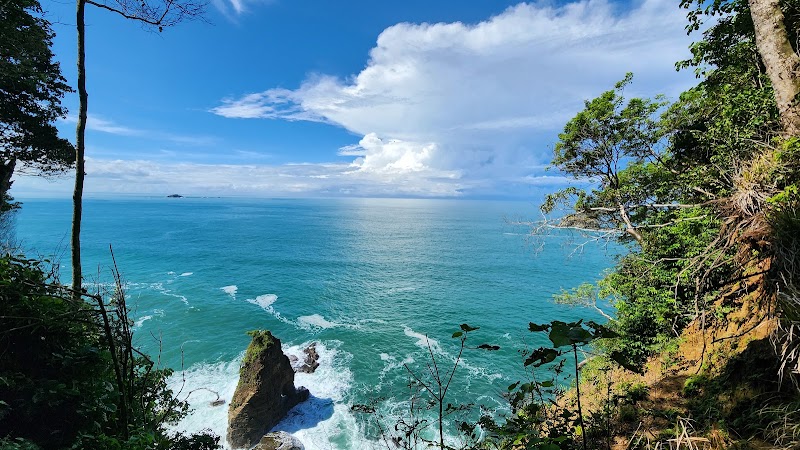 Manuel Antonio National Park | Hola Nature | Guided Wildlife and Beach Tours - Manuel Antonio National Park | Hola Nature | Guided Wildlife and Beach Tours, Next to Manuel Antonio National Park, Provincia de Puntarenas, Manuel Antonio, 60601, Costa Rica