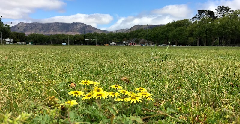 The Bay (run by the Toad) - The Bay (run by the Toad), False Bay Rugby & Football Club Constantia Sports Complex, Constantia Main Rd, Constantia, Cape Town, 7700, South Africa