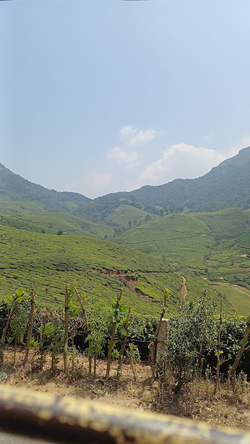 Sunrise Munnar - Sunrise Munnar Hills, Station, Moolakadai, Munnar, Kerala 685612, India