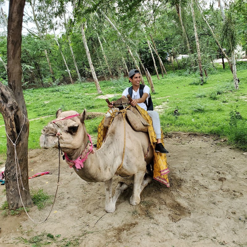 Mehtab Bagh - Mehtab Bagh 1, MEHTAB BAGH, Nagla Devjit, Agra, Uttar Pradesh 282001, India