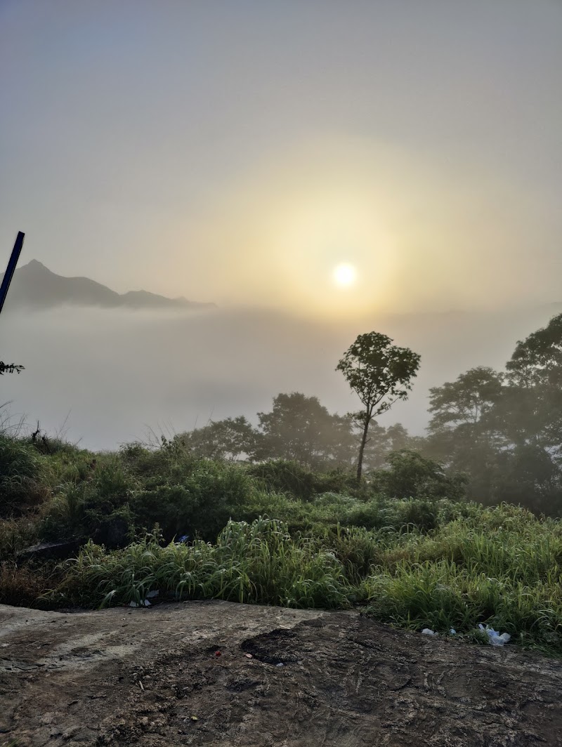 Sunrise Munnar - Sunrise Munnar Hills, Station, Moolakadai, Munnar, Kerala 685612, India