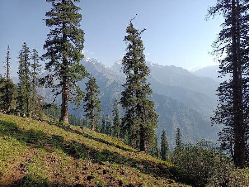 Grahan village.Himachal Pradesh - Grahan village.Himachal Pradesh, X89X+HJH, Grahan Grahan street, Sosan, Himachal Pradesh 175105, India