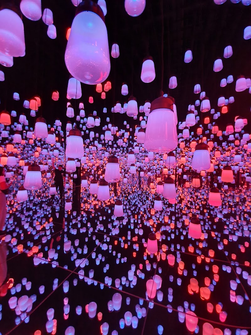 Teamlab Borderless Museum