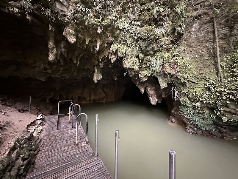 Waitomo Glowworm Caves