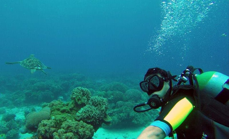Apo Island - Apo Island, Dauin, 6217 Negros Oriental, Philippines
