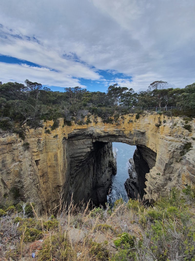Tasmans Arch Road - Tasmans Arch Road, Tasmans Arch Rd, Eaglehawk Neck TAS 7179, Australia